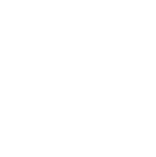 Vigo